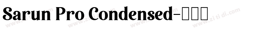 Sarun Pro Condensed字体转换
